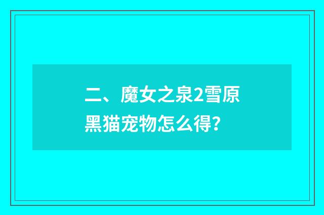 二、魔女之泉2雪原黑猫宠物怎么得?