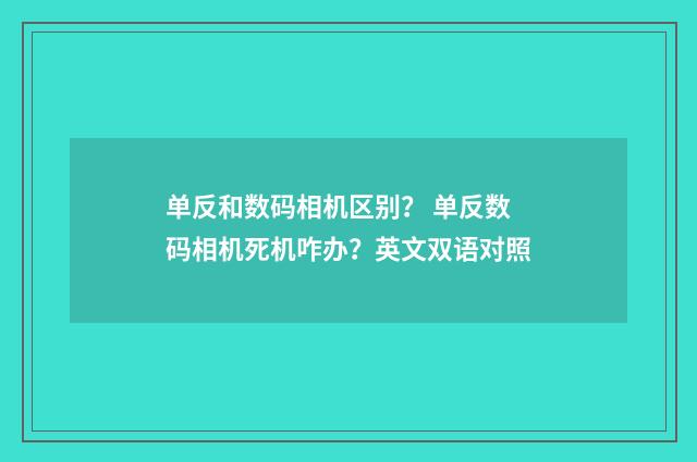 单反和数码相机区别? 单反数码相机死机咋办?英文双语对照