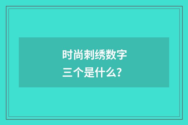 时尚刺绣数字三个是什么?