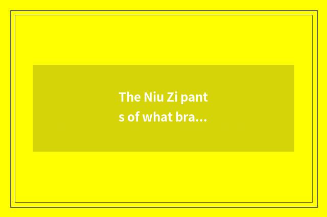 The Niu Zi pants of what brand is more fashionable?