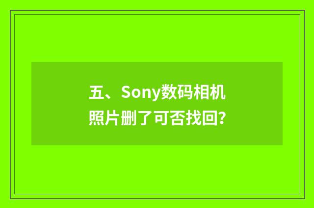 五、Sony数码相机照片删了可否找回？