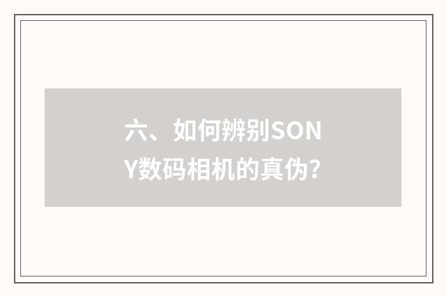 六、如何辨别SONY数码相机的真伪？