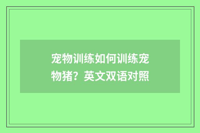 宠物训练如何训练宠物猪？英文双语对照