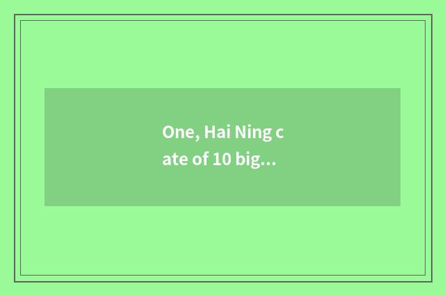 One, Hai Ning cate of 10 big characteristic?