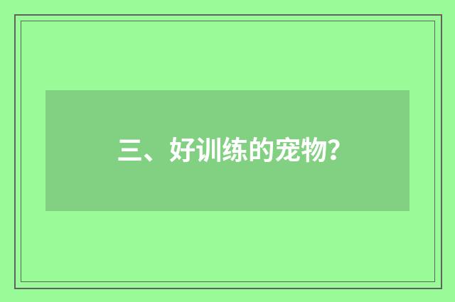 三、好训练的宠物?