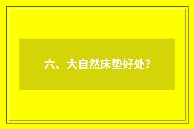 六、大自然床垫好处？