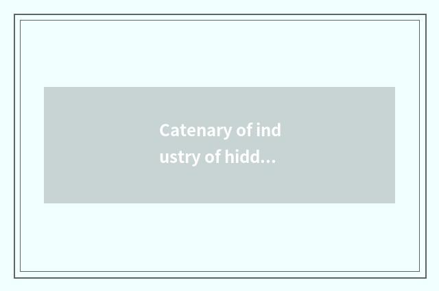 Catenary of industry of hidden of backside of authority of Zhang Yuqi dimension