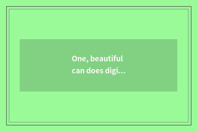 One, beautiful can does digital camera store how is card installed?