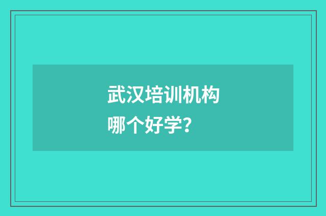 武汉培训机构哪个好学?
