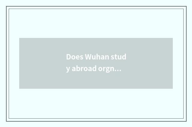 Does Wuhan study abroad orgnaization which are good?