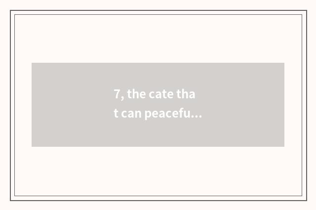 7, the cate that can peaceful wave special local product take away?