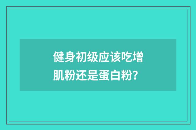 健身初级应该吃增肌粉还是蛋白粉?