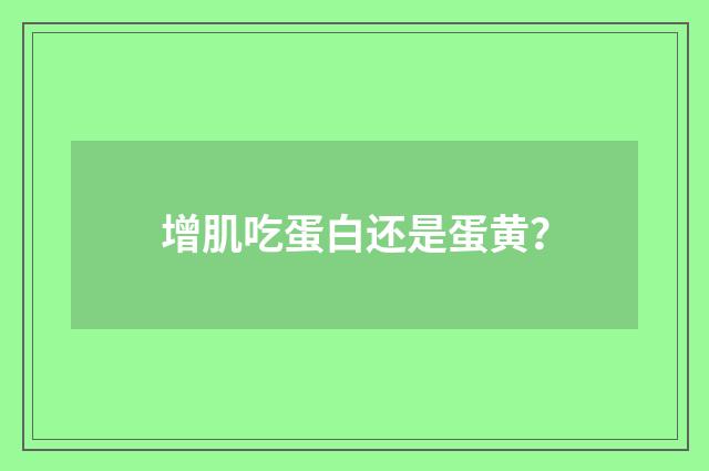 增肌吃蛋白还是蛋黄?