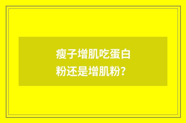 瘦子增肌吃蛋白粉还是增肌粉?