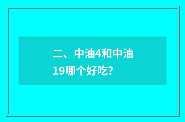 二、中油4和中油19哪个好吃？