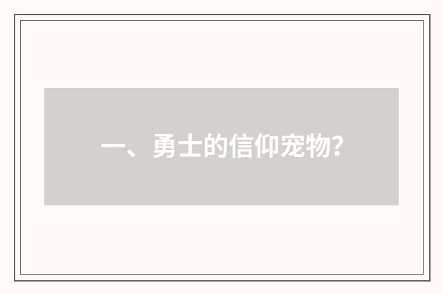 一、勇士的信仰宠物?