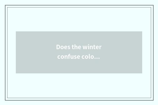 Does the winter confuse colour and summer to confuse colour distinction?