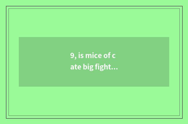 9, is mice of cate big fight made?