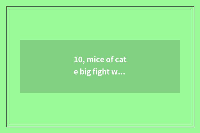 10, mice of cate big fight which cate is good with?