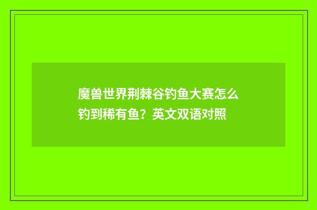 魔兽世界荆棘谷钓鱼大赛怎么钓到稀有鱼?英文双语对照