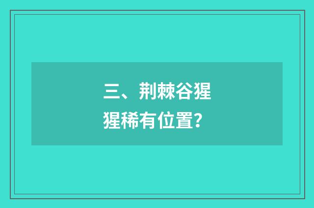 三、荆棘谷猩猩稀有位置？