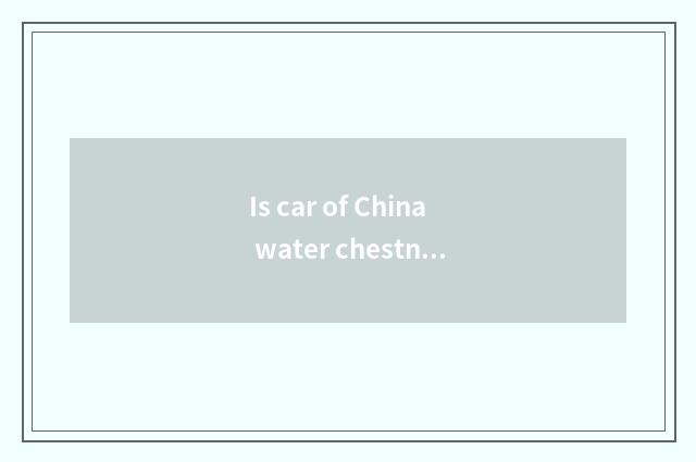 Is car of China water chestnut good?