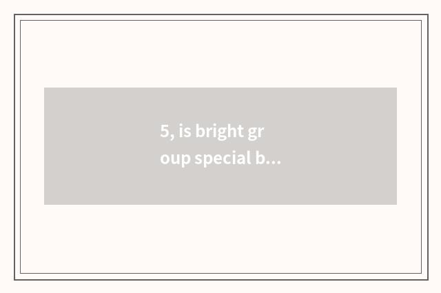5, is bright group special brief introduction?