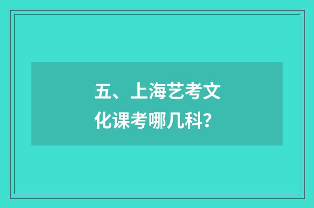 五、上海艺考文化课考哪几科？