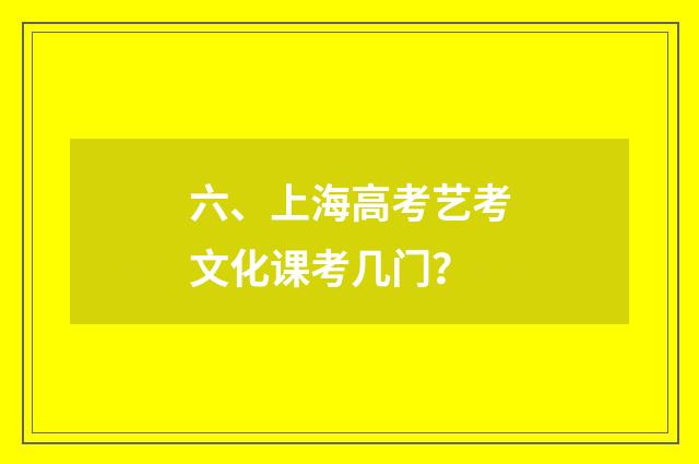 六、上海高考艺考文化课考几门？