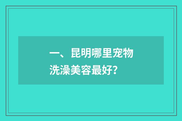 一、昆明哪里宠物洗澡美容最好?