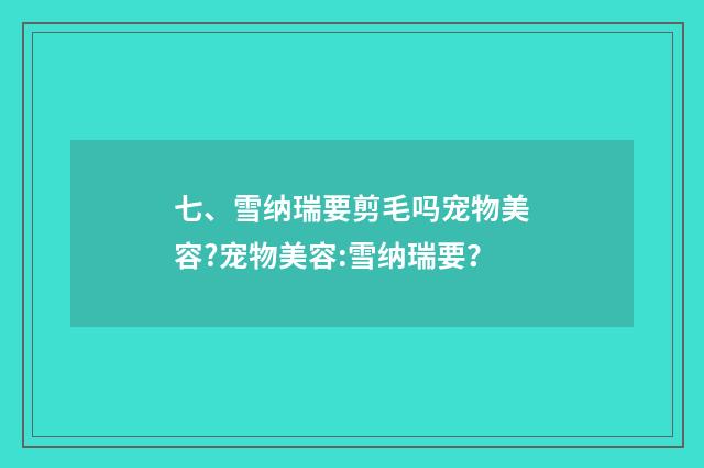 七、雪纳瑞要剪毛吗宠物美容?宠物美容:雪纳瑞要?