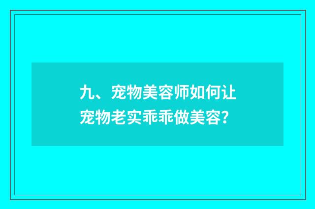 九、宠物美容师如何让宠物老实乖乖做美容？