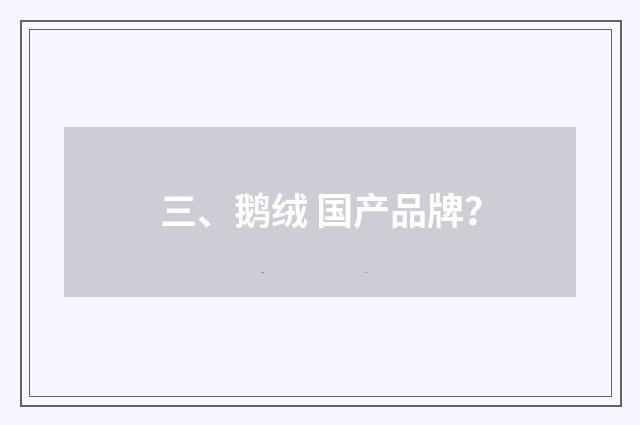 三、鹅绒 国产品牌？