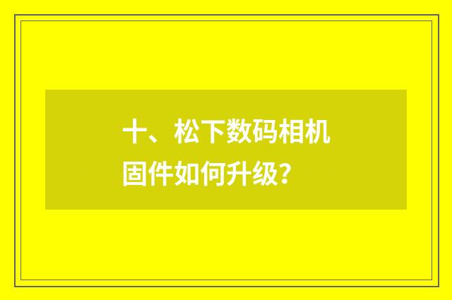 十、松下数码相机固件如何升级?