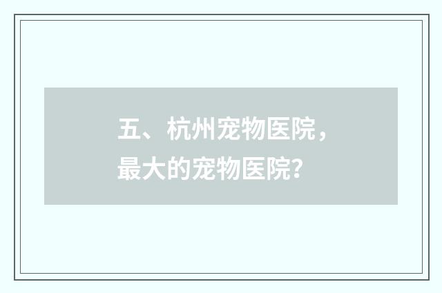 五、杭州宠物医院,最大的宠物医院?