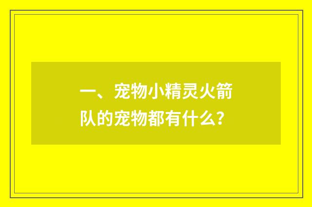 一、宠物小精灵火箭队的宠物都有什么？
