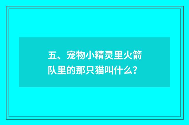 五、宠物小精灵里火箭队里的那只猫叫什么?