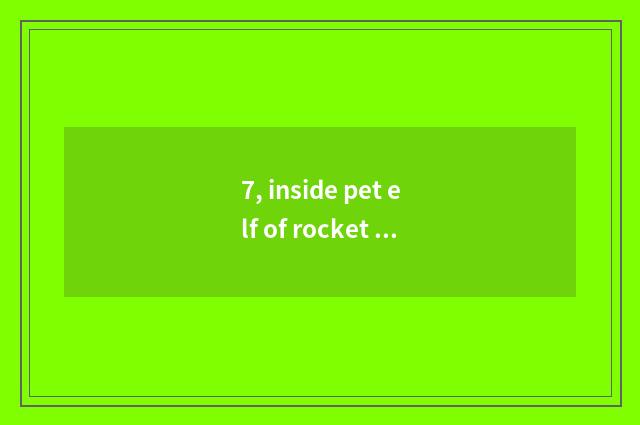 7, inside pet elf of rocket team come on the stage what is actor's lines?