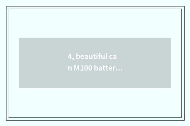 4, beautiful can M100 batteries which good?