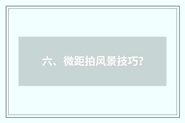 六、微距拍风景技巧？