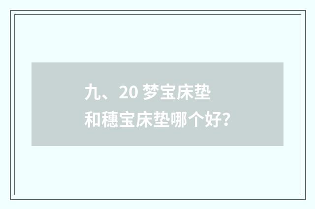 九、20 梦宝床垫和穗宝床垫哪个好？