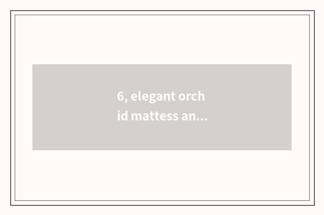 6, elegant orchid mattess and spic treasure mattess which good?