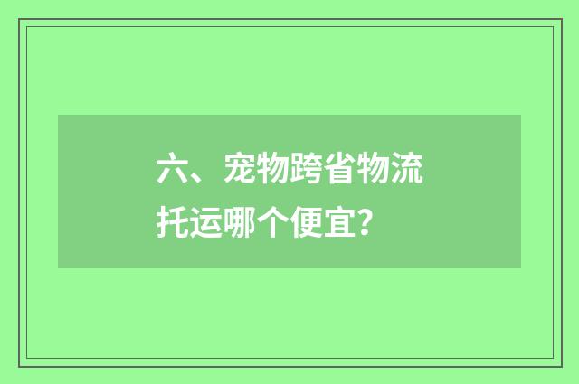 六、宠物跨省物流托运哪个便宜？