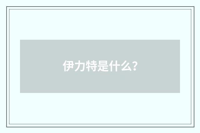伊力特是什么?