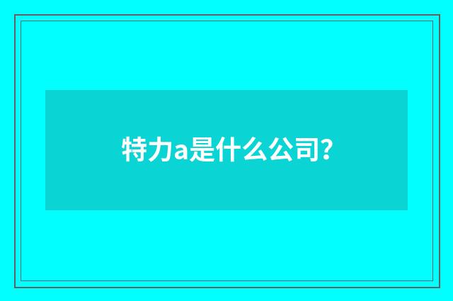 特力a是什么公司?