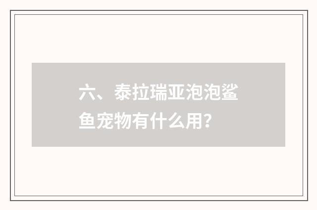 六、泰拉瑞亚泡泡鲨鱼宠物有什么用?