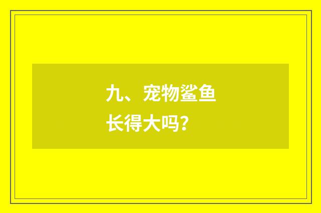 九、宠物鲨鱼长得大吗？