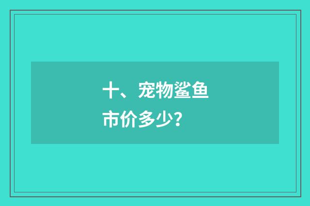 十、宠物鲨鱼市价多少?