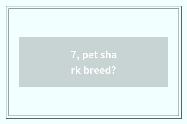 7, pet shark breed?
