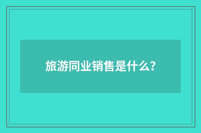 旅游同业销售是什么?